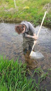 ARMI Riverfly Monitor kicksampling Pakenham Stream