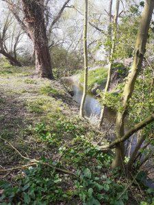 bypass after passing under the Mill Pond