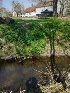 chalk stream bypass downstream nr watermill sluice