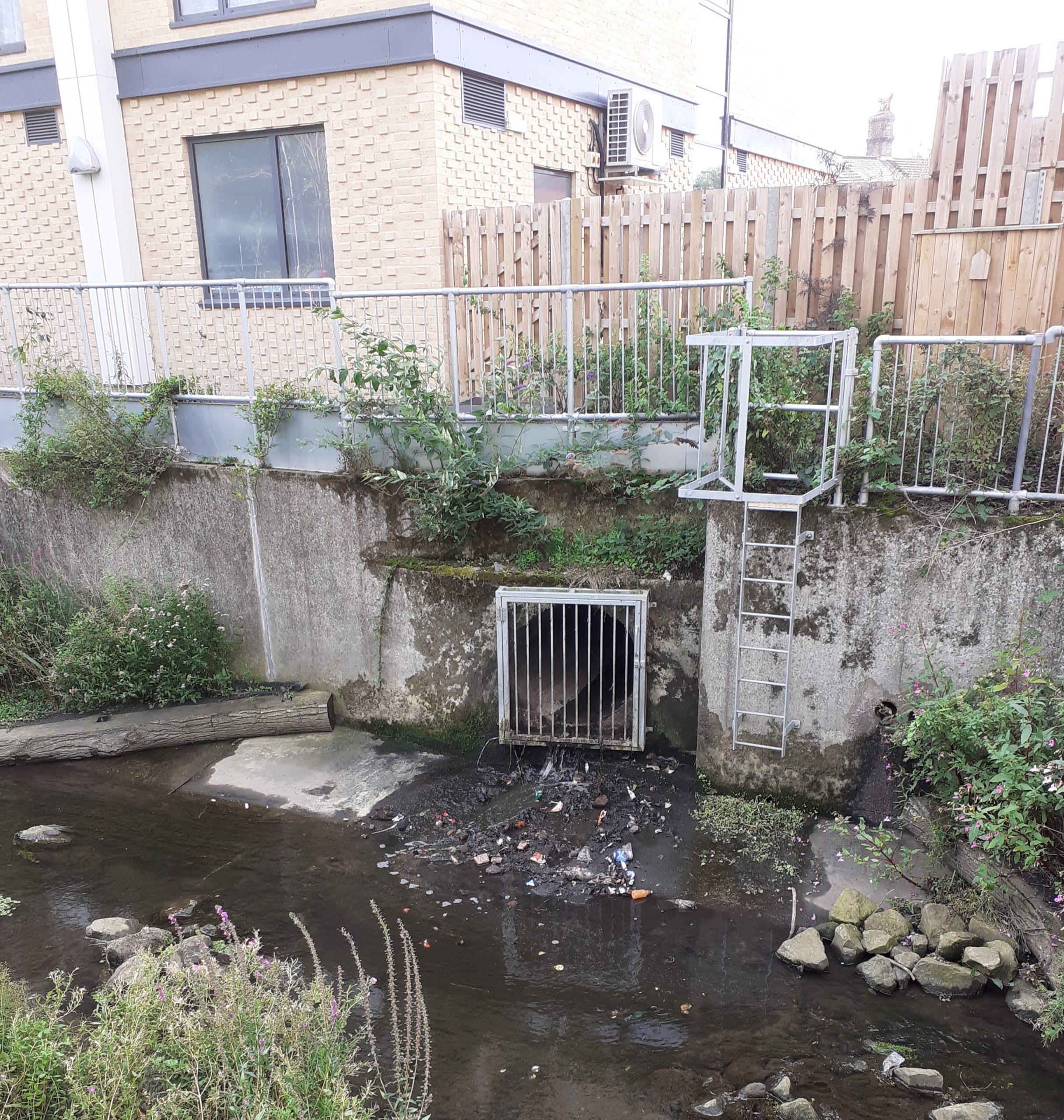river lark storm drain 4th Sept river lark storm drain 4th Sept - Beyond the Fen